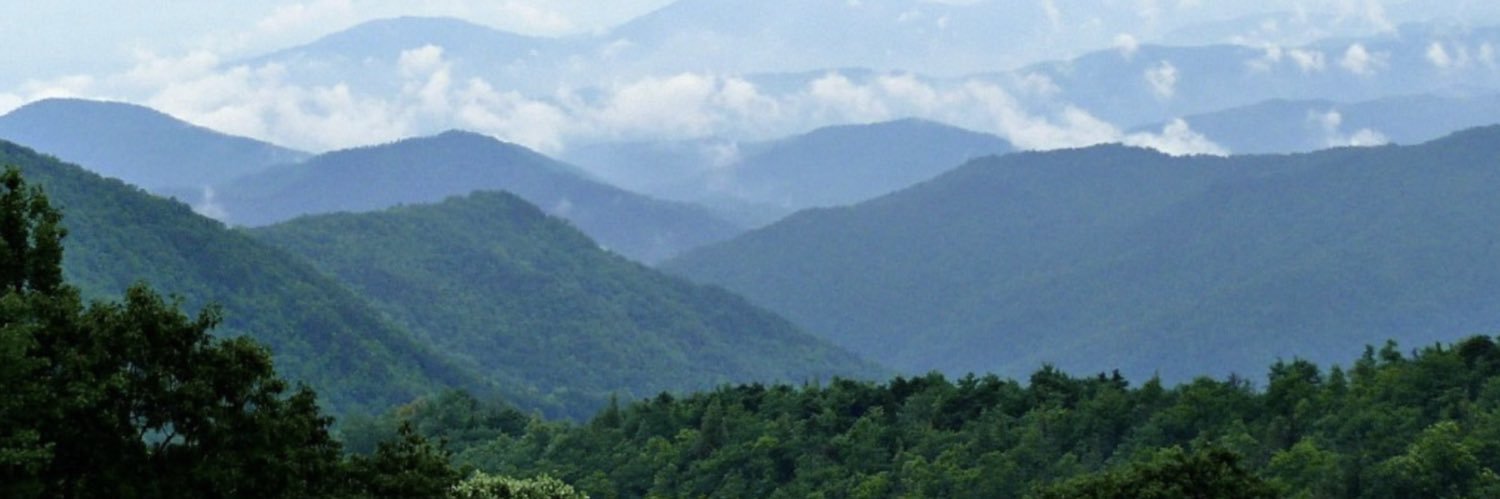 mitchgainer's profile banner image