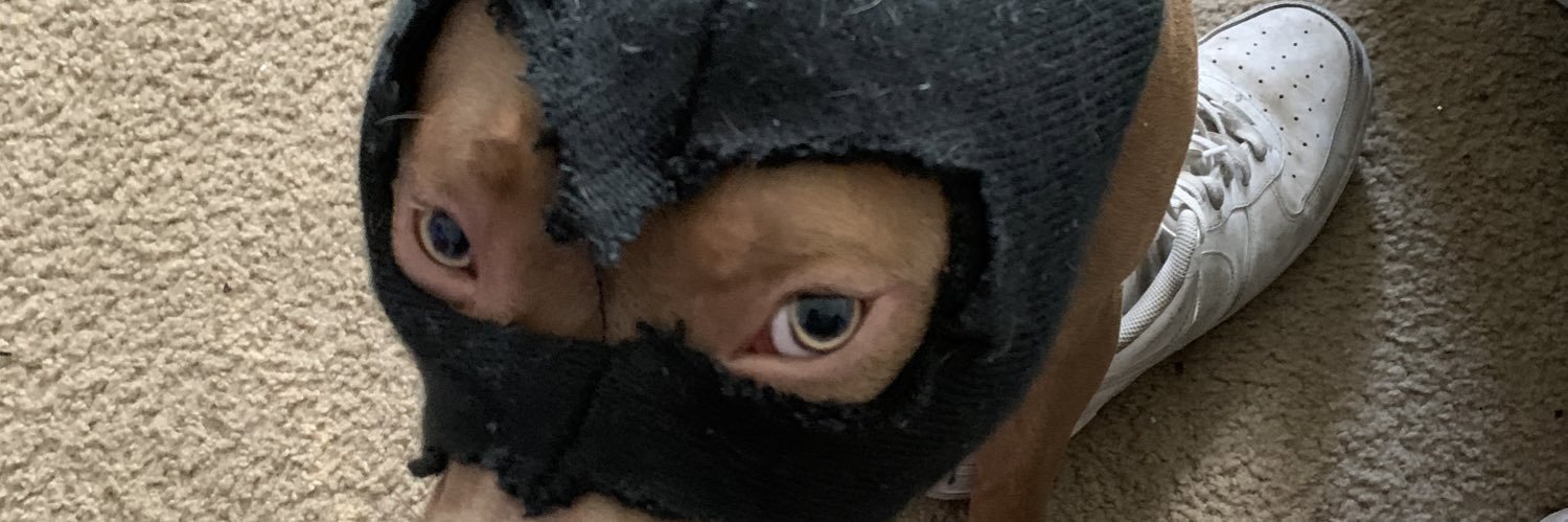KINGShaQ__'s profile banner image