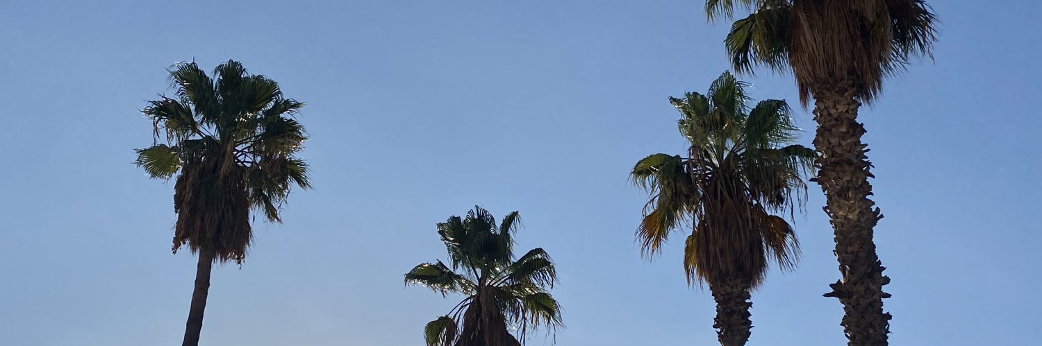 NeuroMoonlight's profile banner image
