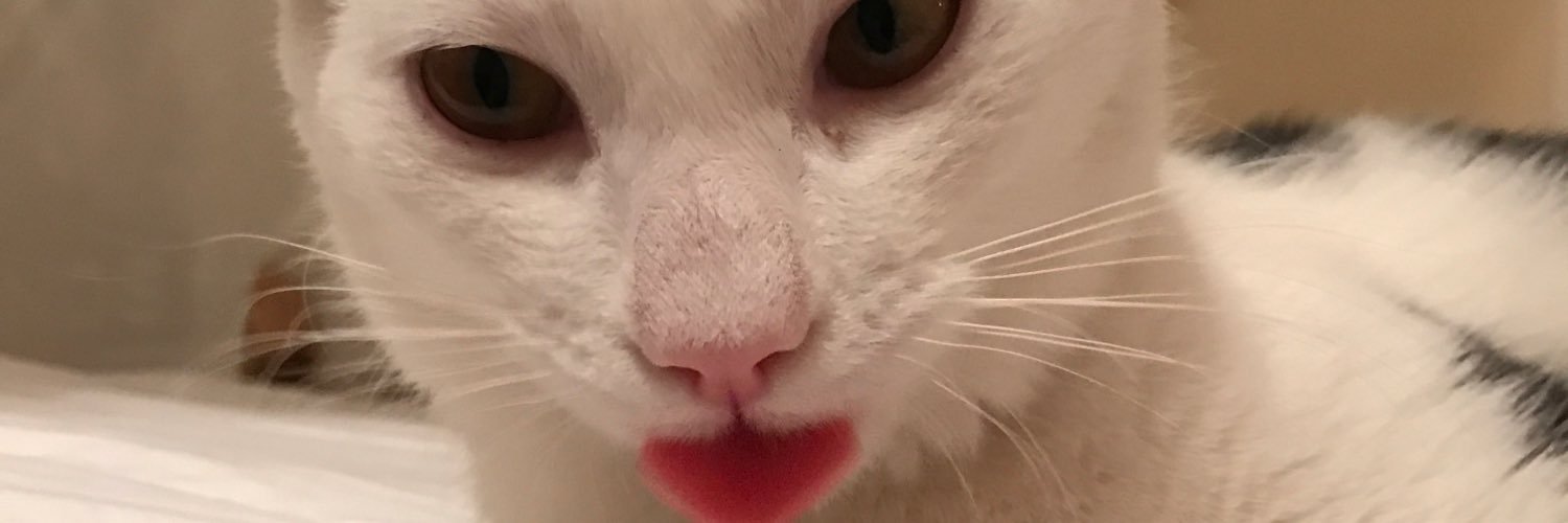 StrakaGrace's profile banner image