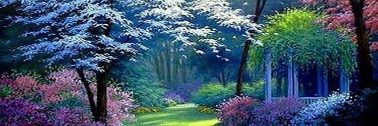 4Moonflower's profile banner image