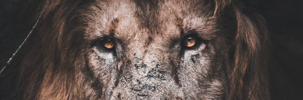 CharlesFlowers_'s profile banner image