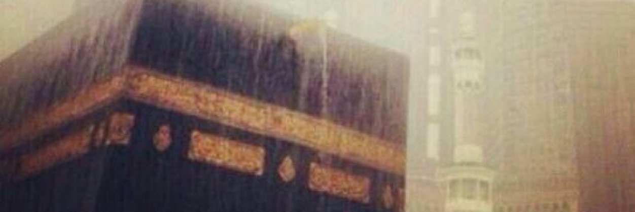 aibakhsh's profile banner image
