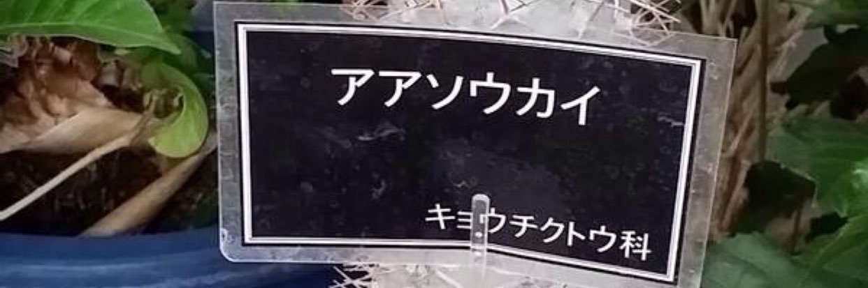 ラリー@なるようになるw banner