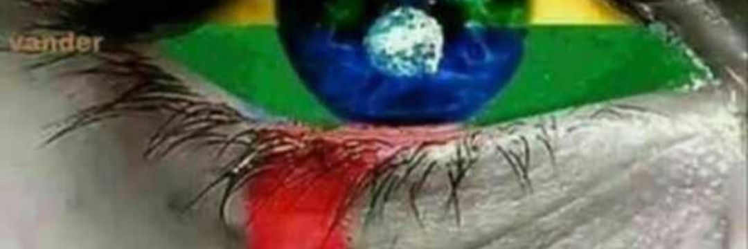 andreia3101's profile banner image
