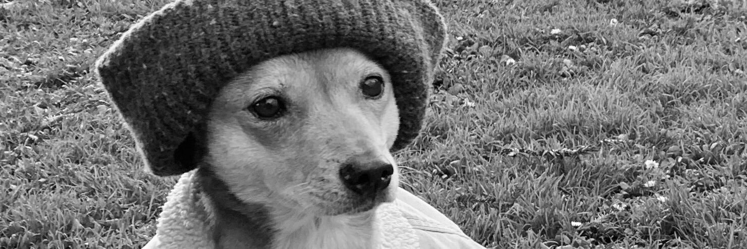 RebGerber's profile banner image