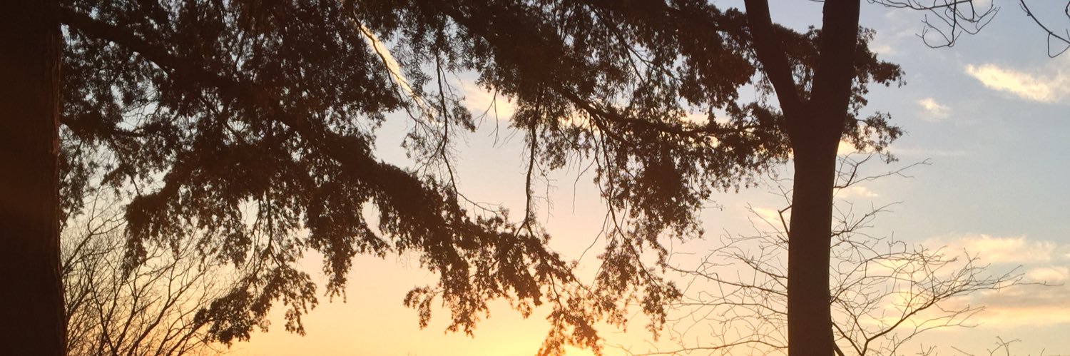 EmilyBacko's profile banner image