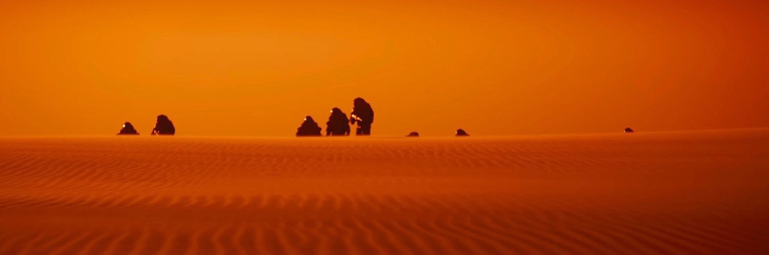 walticle's profile banner image