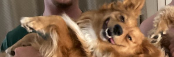 Justin__Benson's profile banner image