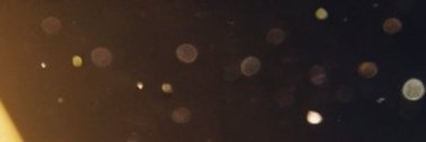 Cryptovestments Profile Banner