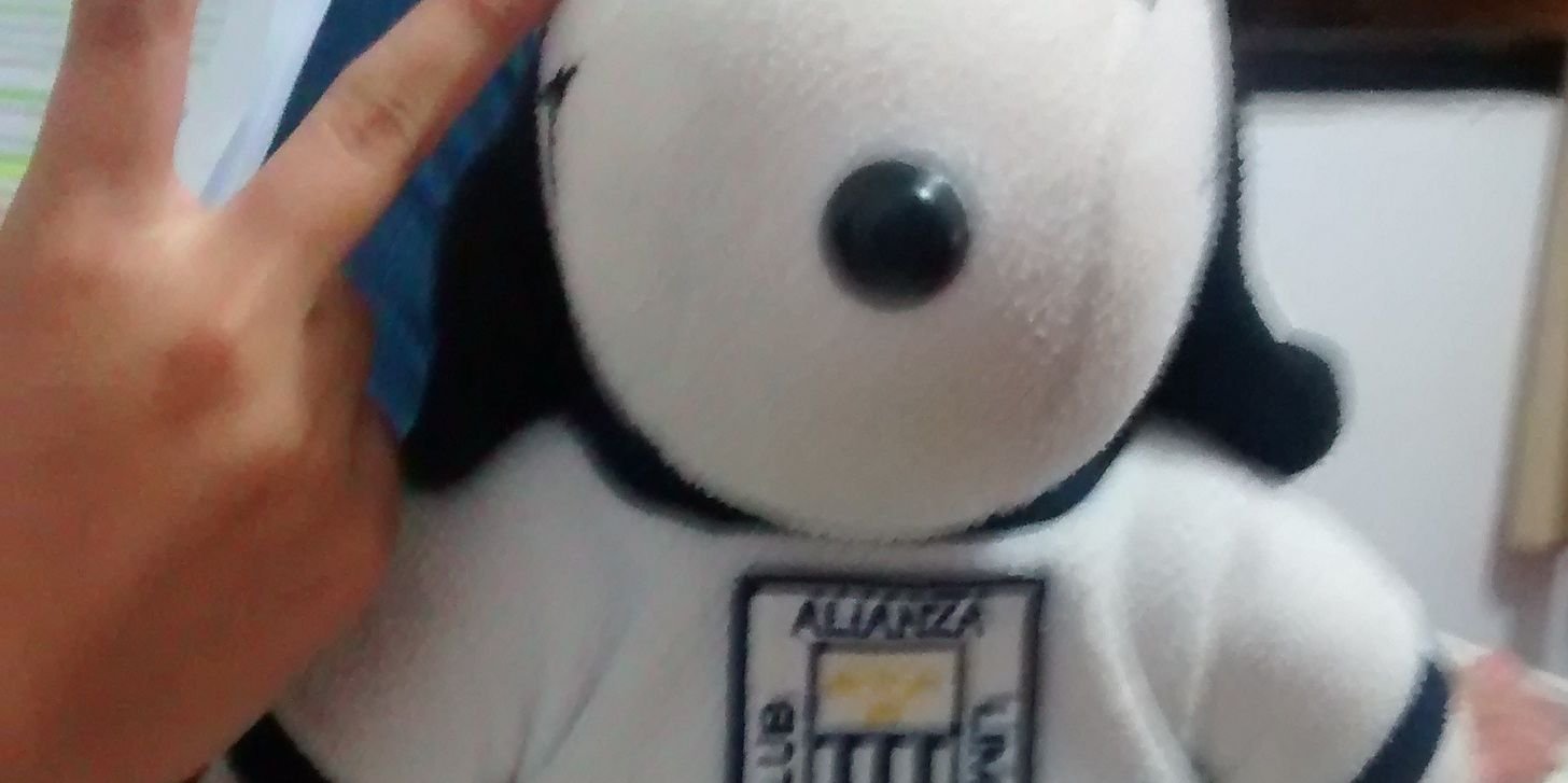 seguior's profile banner image