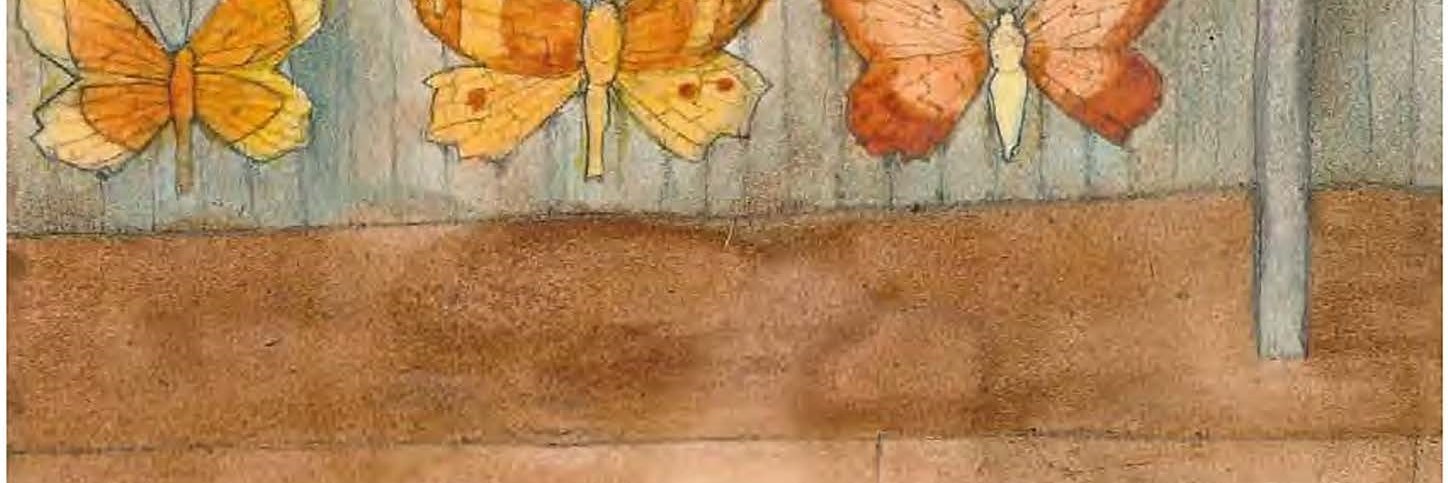 Laura McLauchlan https://bsky.app/profile/lauramcl banner