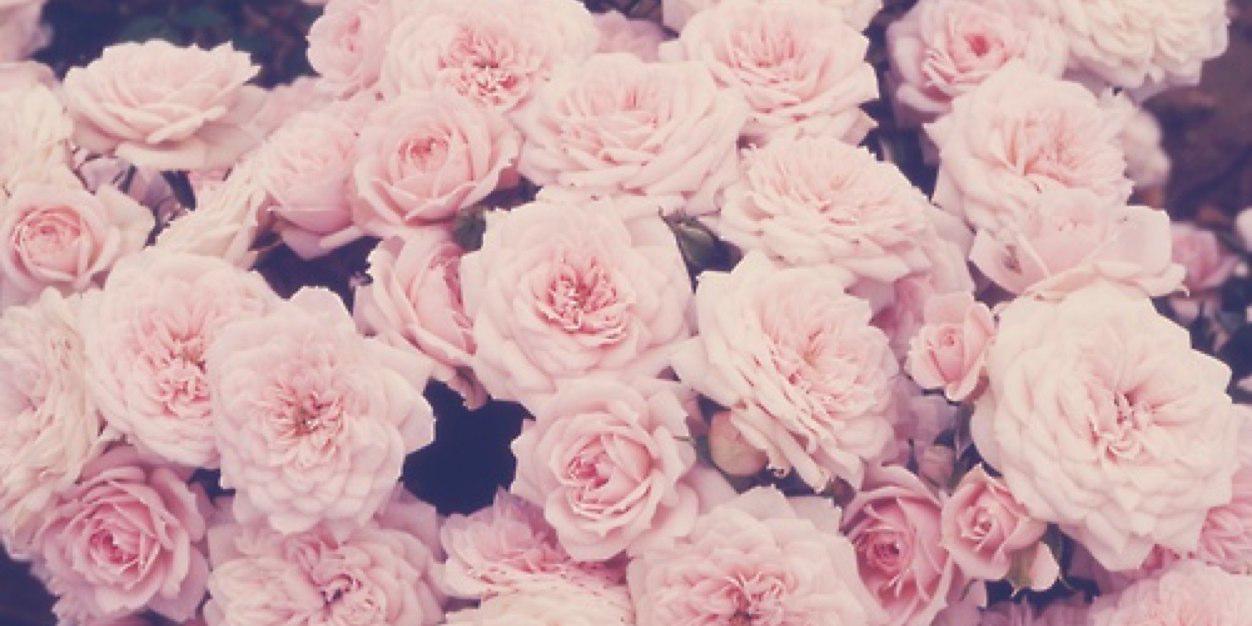 Bethhmason's profile banner image