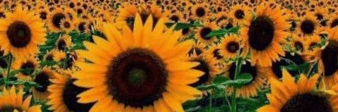 SjSavanna's profile banner image