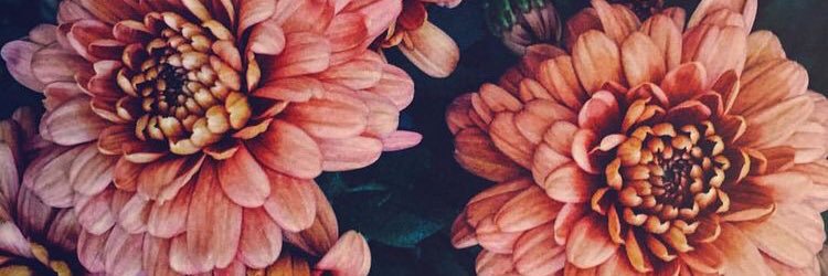 juitaaaaa_'s profile banner image