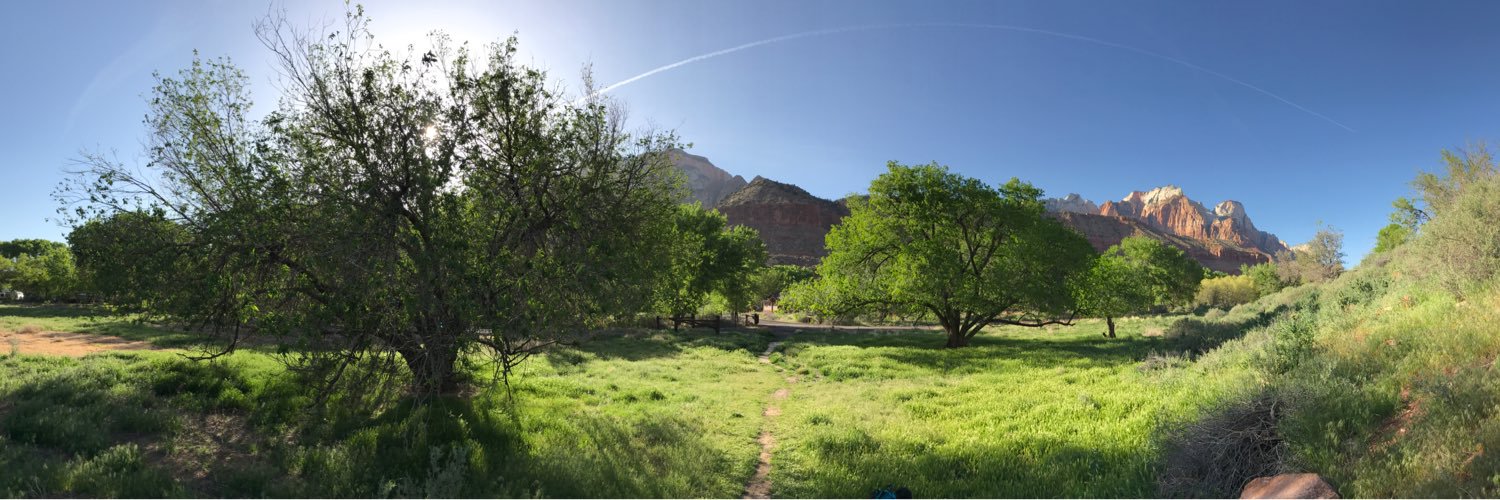 olivtrees's profile banner image