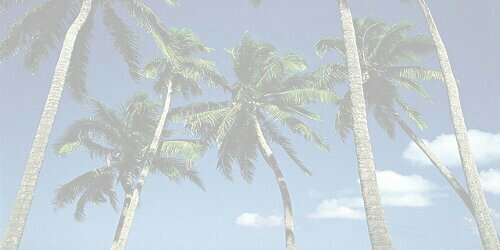tbhsummer's profile banner image
