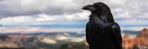 EJpoli1's profile banner image