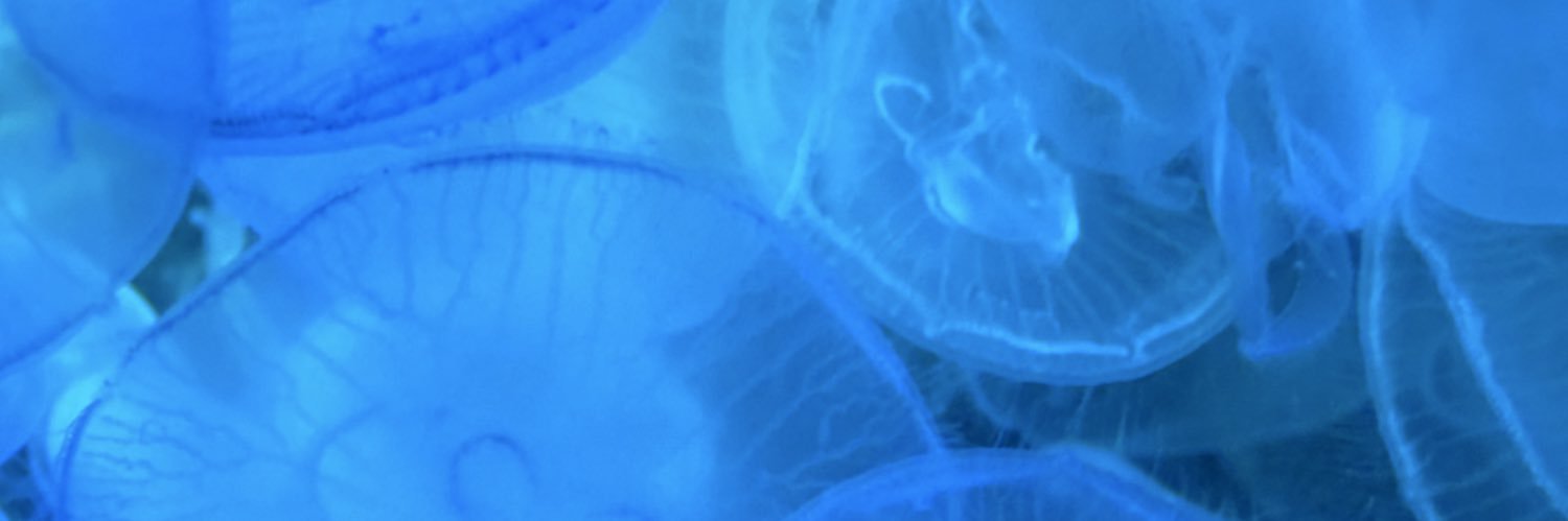 arxsvante's profile banner image