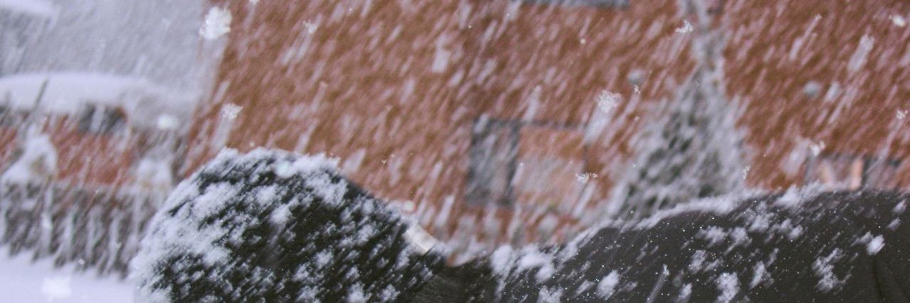 bookofsea's profile banner image