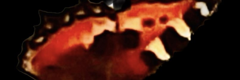 Roberts Dambergs banner