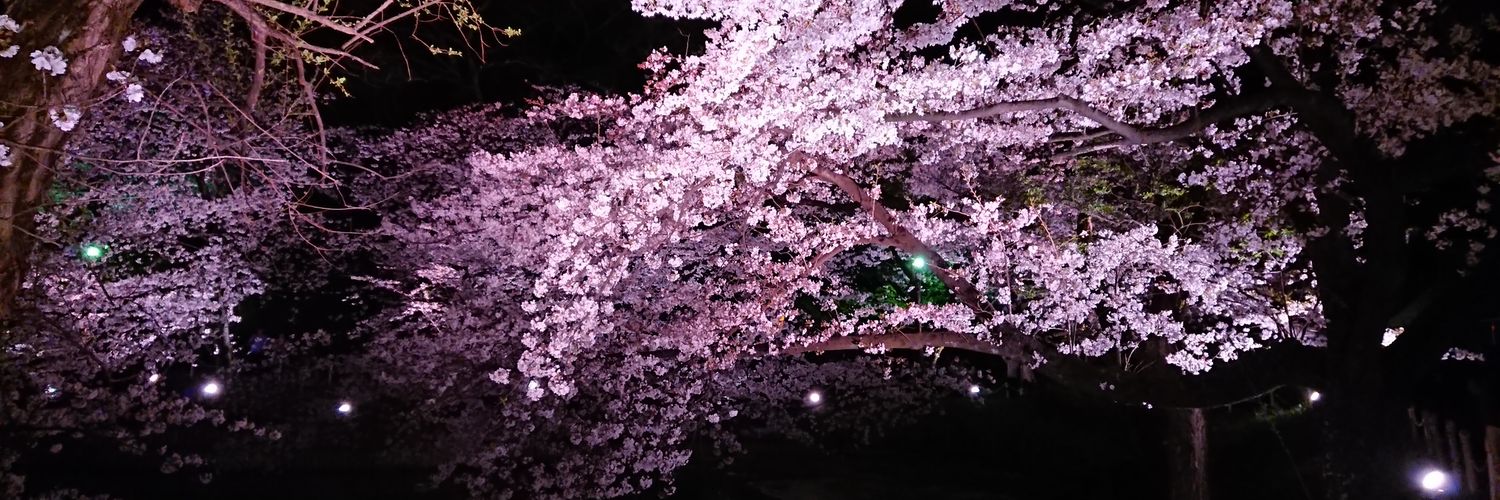 keigo_reading's profile banner image