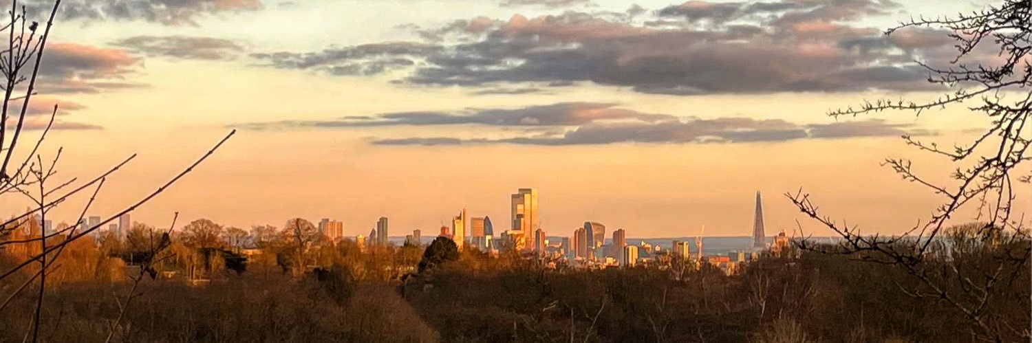 DavidAWilson_'s profile banner image
