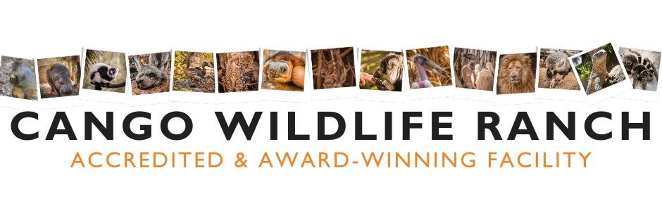 cangowranch's profile banner image