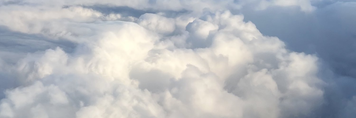 🍁 banner