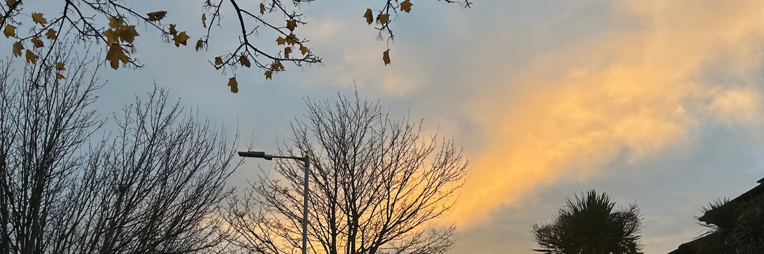 flowerk_s's profile banner image