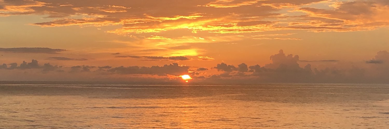 Andrew Shaw™️ banner