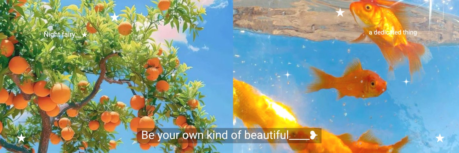 jeongeatn's profile banner image
