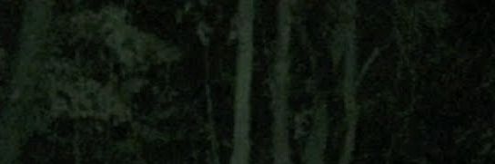 graveyxrdghost's profile banner image