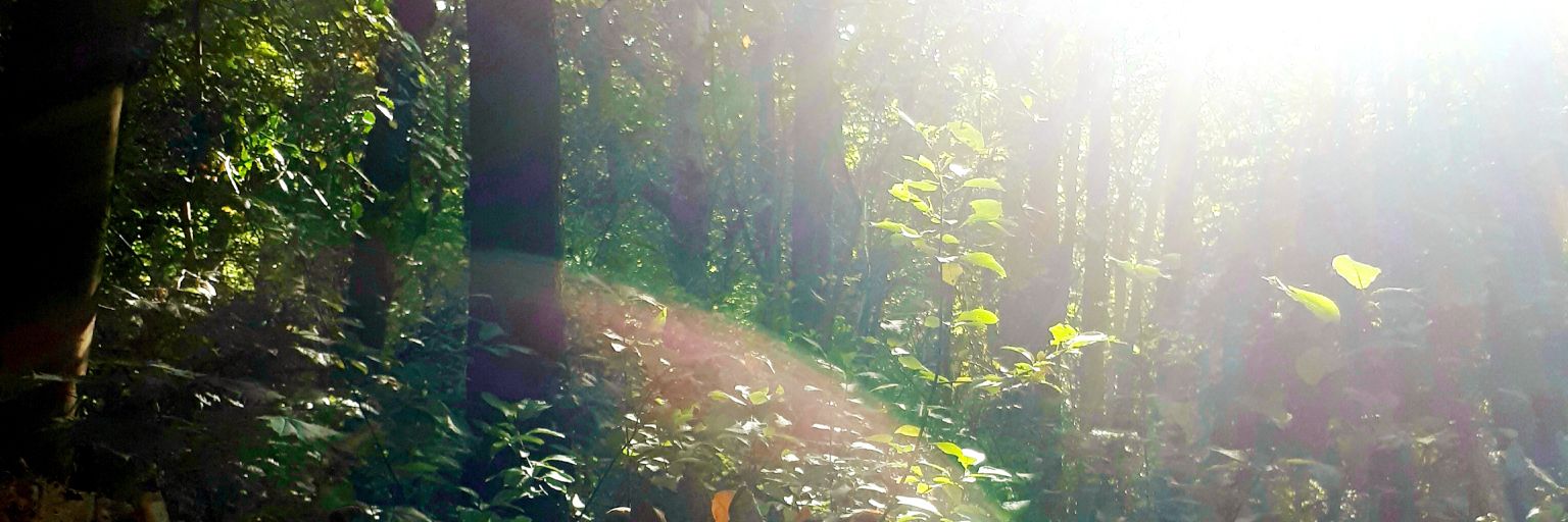 fkamstra's profile banner image