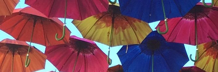 JessicaDVitale's profile banner image
