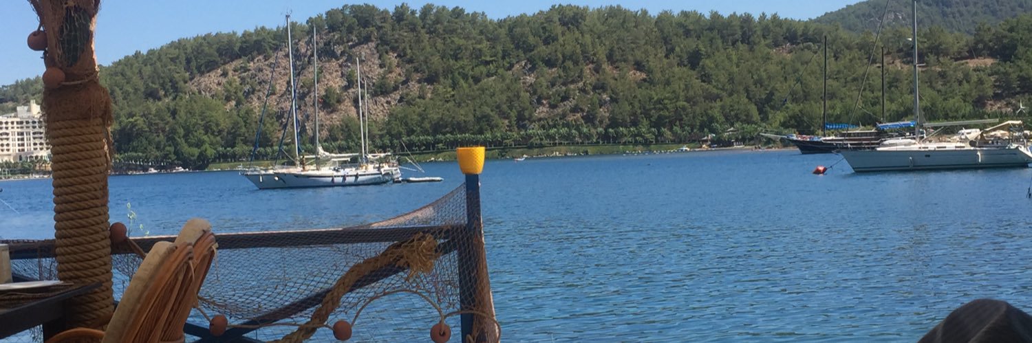 FILIZ_DALGIC's profile banner image
