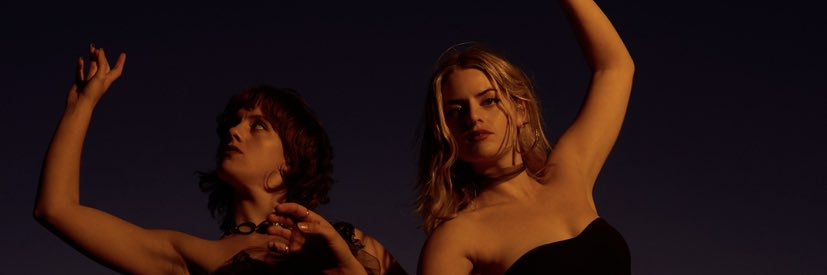 Charm of Finches banner