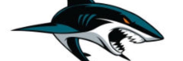 Ohio Sharks Fan banner