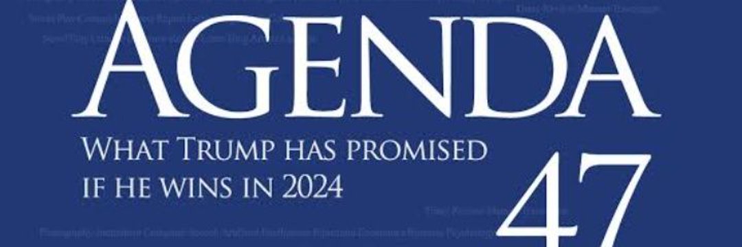 47th MAGA MOVEMENT banner