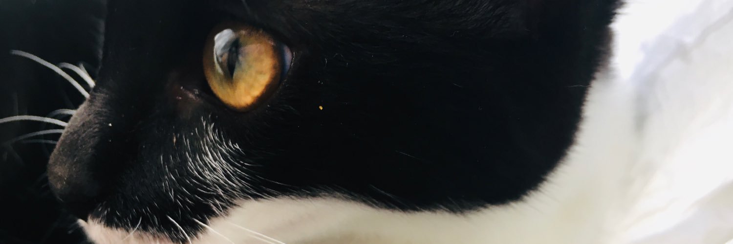 3isarabbit's profile banner image