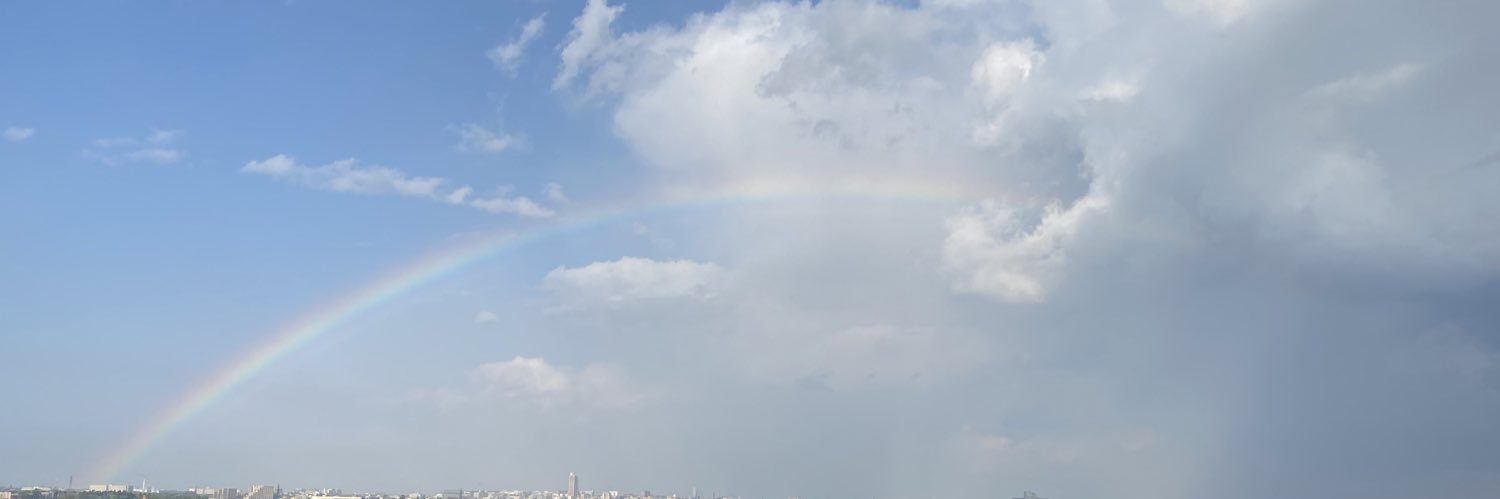 sfymrhs's profile banner image