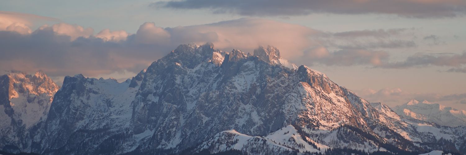 Mirko banner