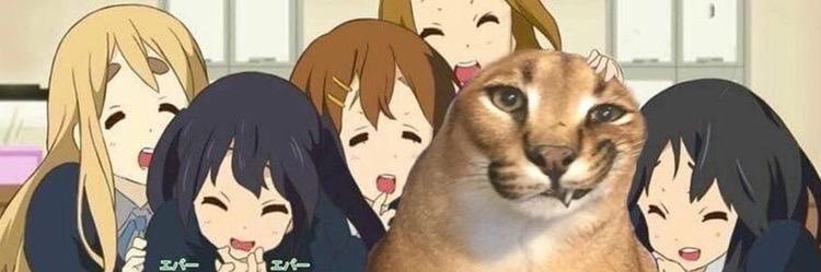 selinetweet's profile banner image