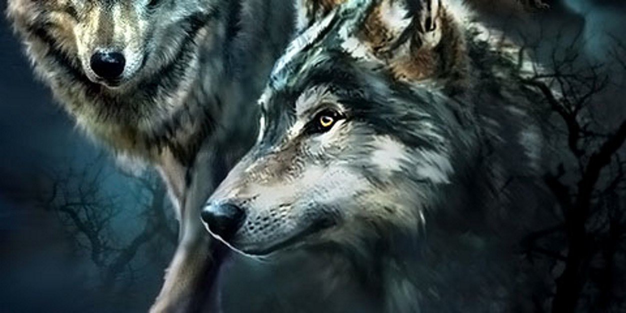 skoombuza's profile banner image