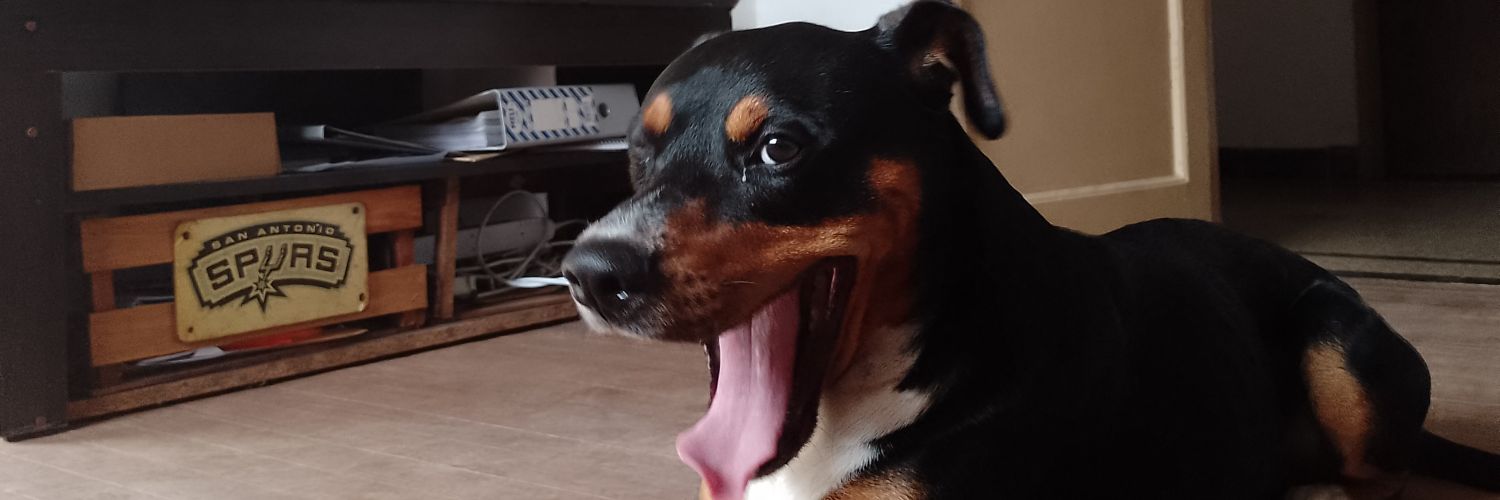 🏀 Renzo Giunta 🐶 banner