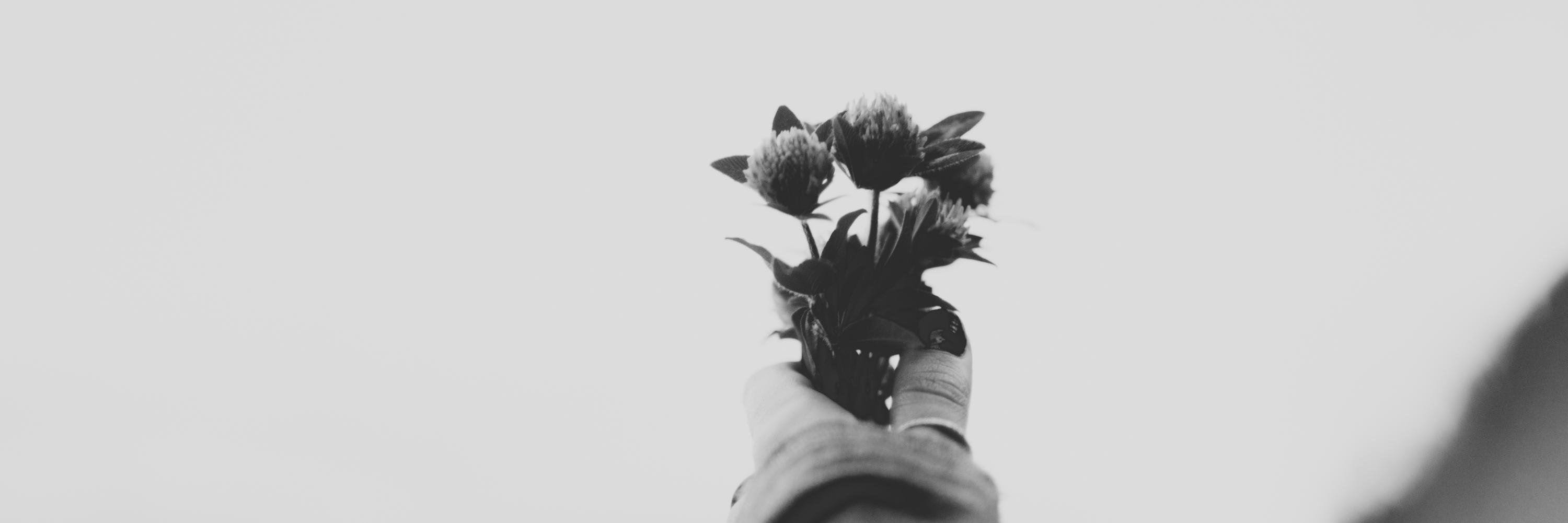 jessierooski's profile banner image