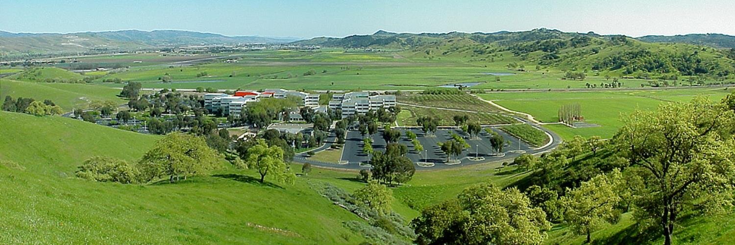 Rakesh Ranjan banner