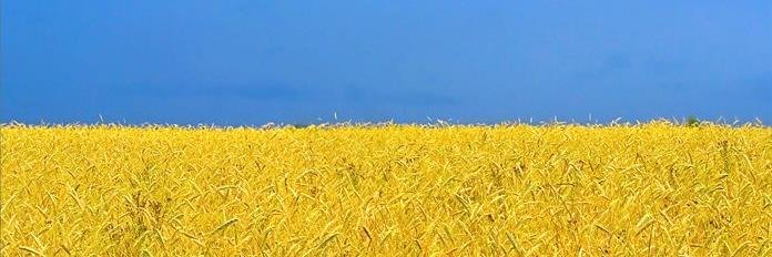 Milalala67's profile banner image