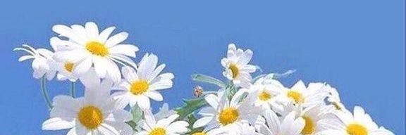 jowly2018's profile banner image