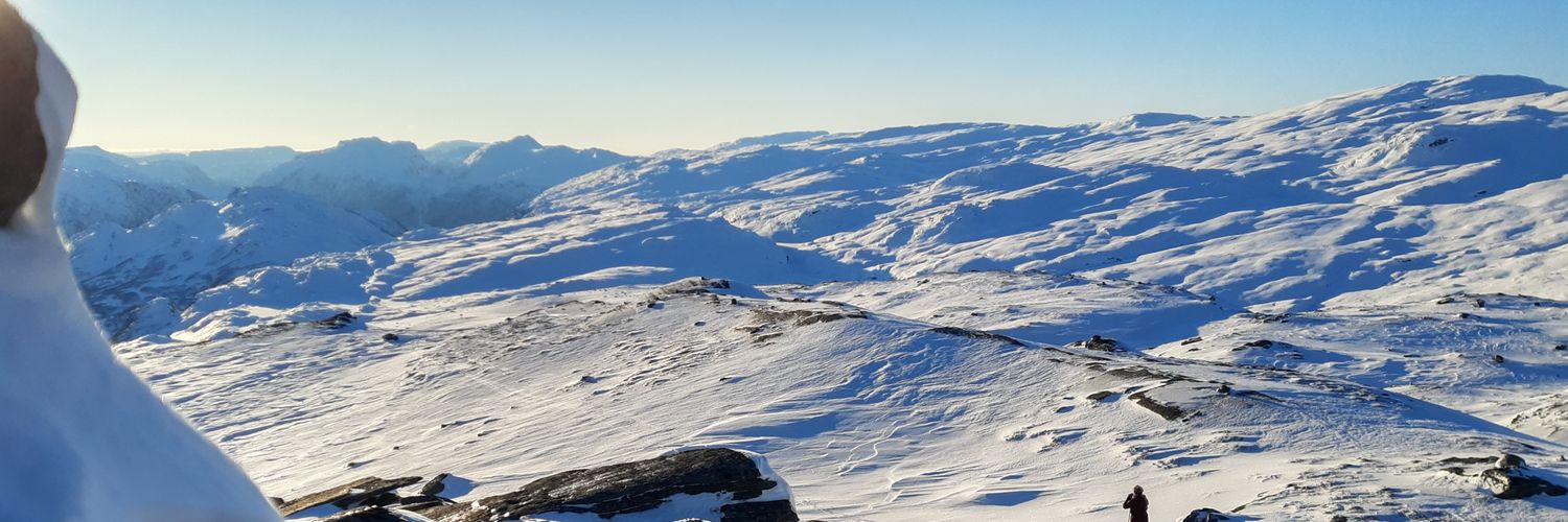glfosse's profile banner image